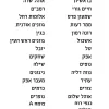 ⁦חולצות בית ספר בנים 100% כותנה⁩ – תמונה ⁦2⁩