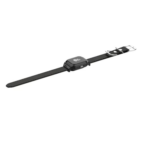 ⁦קידי ווטש - קולר לחיות מחמד Pet watch 2.0⁩ – תמונה ⁦2⁩