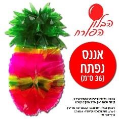 אננס צבעוני נפתח לקישוט הסוכה