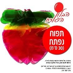 תפוח צבעוני לקישוט הסוכה