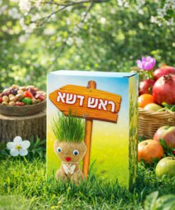 ערכת יצירה “ראש דשא” – מגדלים שיער ירוק וצוחק ð¿