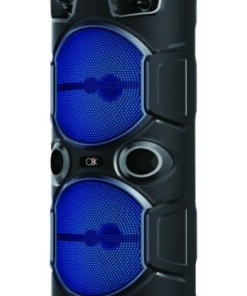 רמקול קריוקי מקצועי עוצמתי עם 2 מיקרופון אלחוטי –  BT-6206