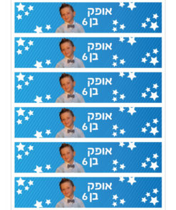 מדבקות מיתוג מלבן ארוך לבקבוקים 6 בגיליון