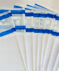 מארז 10 דגלי ישראל 16X10 ס