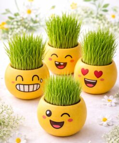 ראש דשא חיוך – מגדלים דשא עם חיוך ð±ð
