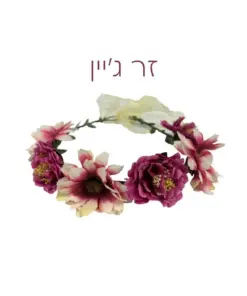 זר ג'יין