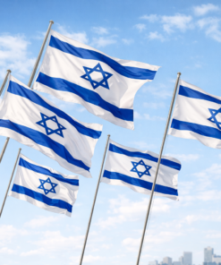 דגלים