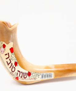 שופר פלסטיק במראה טבעי עם כיתוב 